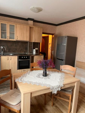 Apartament Marinela 2